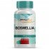 Boswellia 200Mg - 120 Cápsulas
